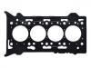 Cylinder Head Gasket:6000605016
